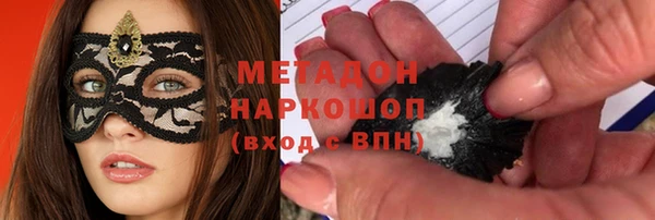индика Алзамай