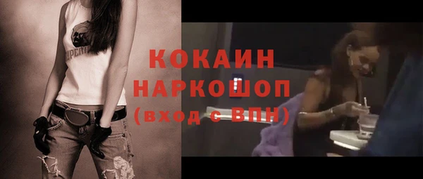 индика Алзамай