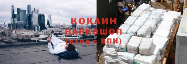 индика Алзамай